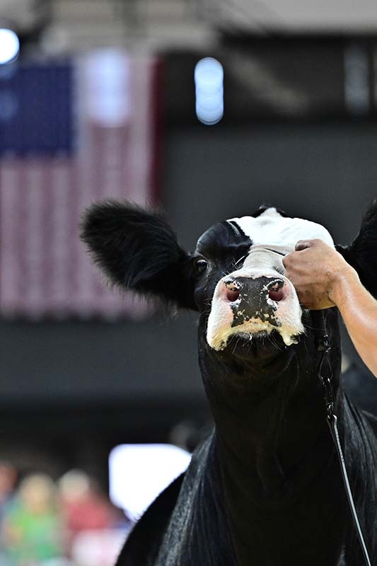 2025 AJSA National Classic