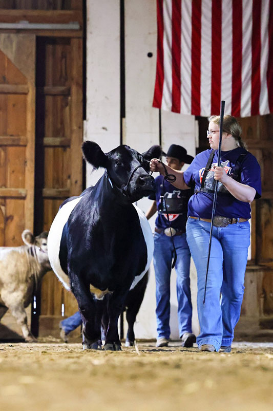 2025 Belted Galloway Jr Nationals