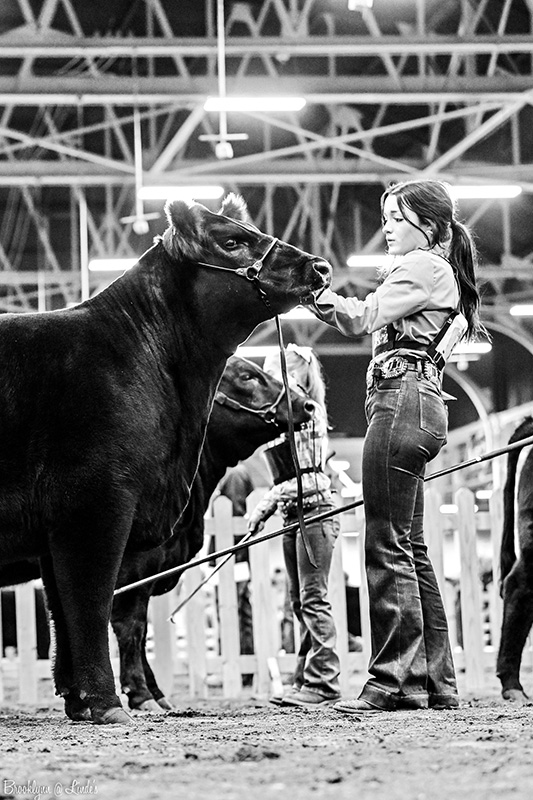 2025 Kentucky Beef Expo