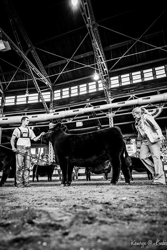 2025 Iowa State Fair