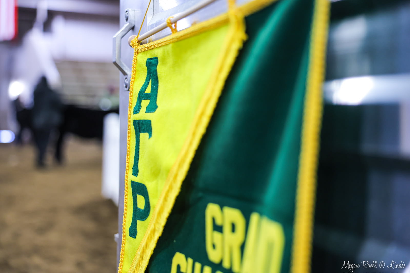 2025 AGR Holiday Classic